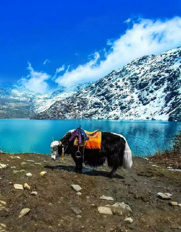 Sikkim Booking - Khecheopalri Lake Pelling at 5,600ft is a Sacred pilgrimage site, Sightseeing Places in Pelling Sikkim, Tourist Spots in Pelling Sikkim, Good Travel Agents in Sikkim, Sikkim B2B Tour Operator, B2B Sikkim Packages